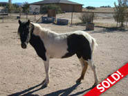 Scotts Naughty Angel